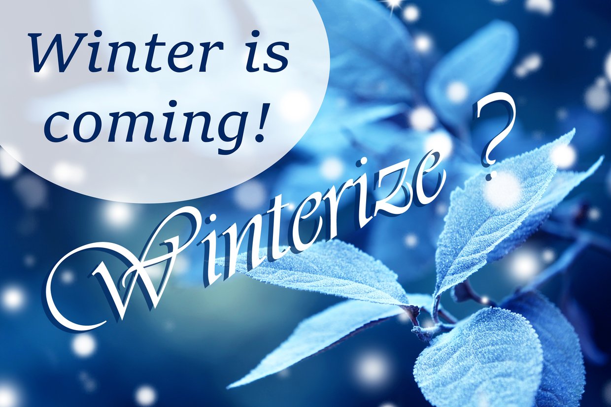 What is winterization